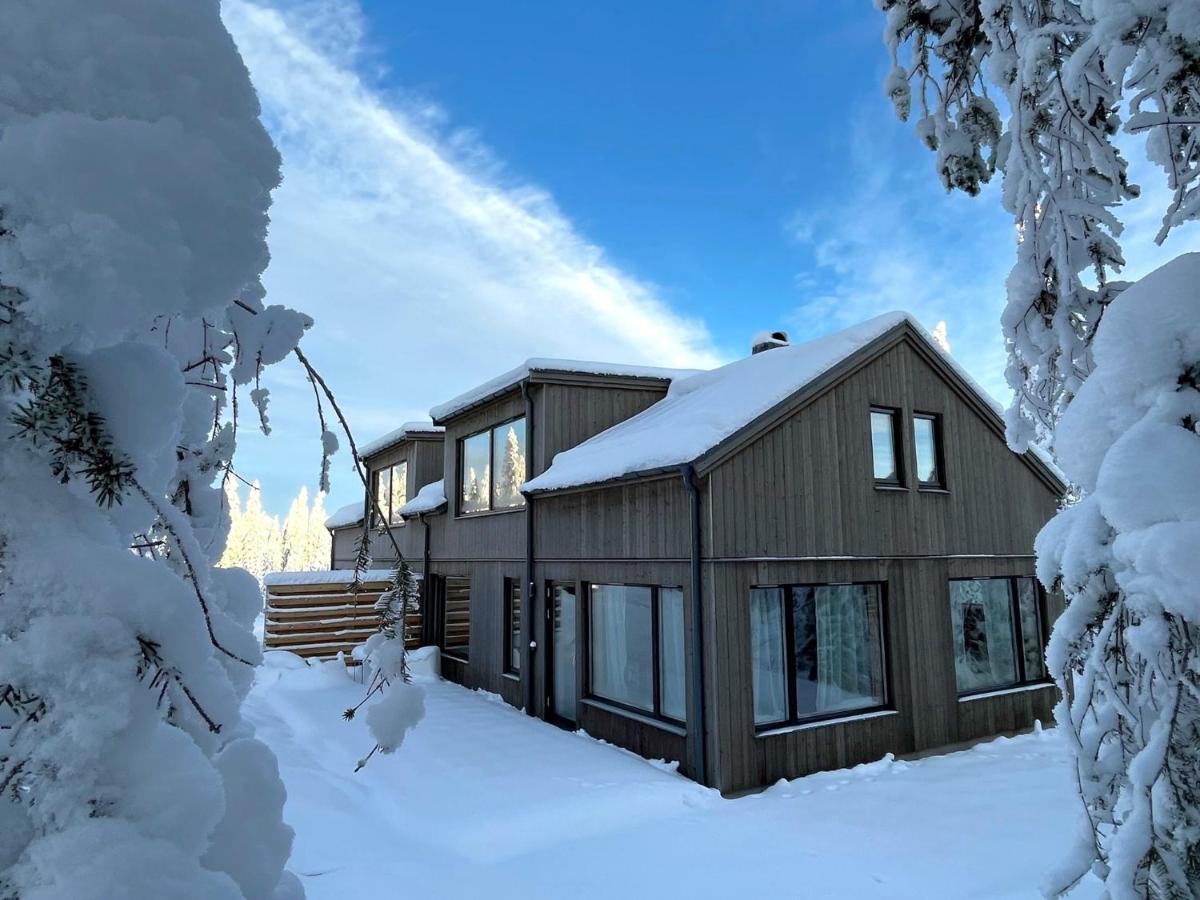 Martebaecken 19 Villa Sälen Dış mekan fotoğraf