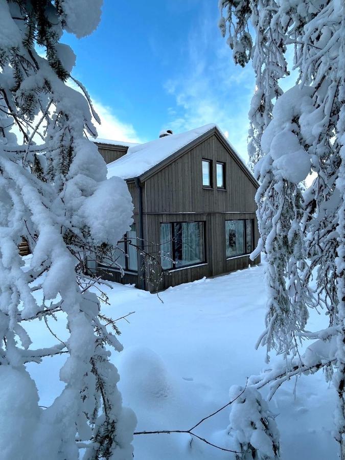 Martebaecken 19 Villa Sälen Dış mekan fotoğraf
